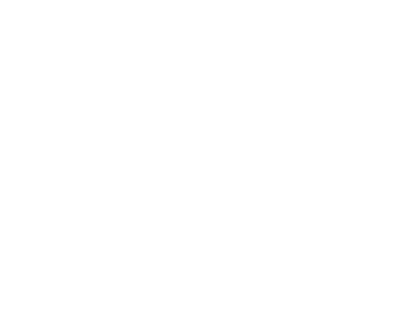 Bora-logo-02-1-.png